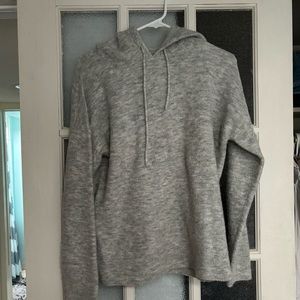 Aritzia Morrison Hooded Sweater